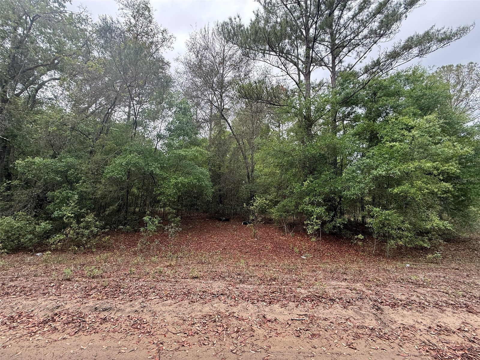 Maltas Avenue Interlachen FL 32148 K4903236 image6