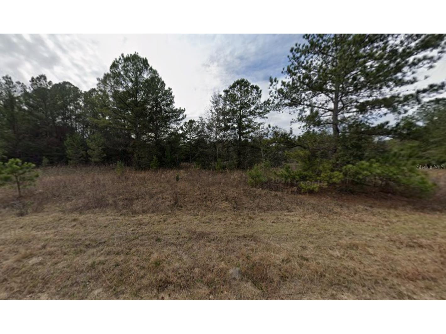Maltas Avenue Interlachen FL 32148 K4903236 image7