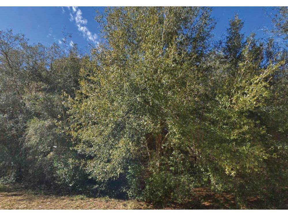 Maltas Avenue Interlachen FL 32148 O6321768 image1