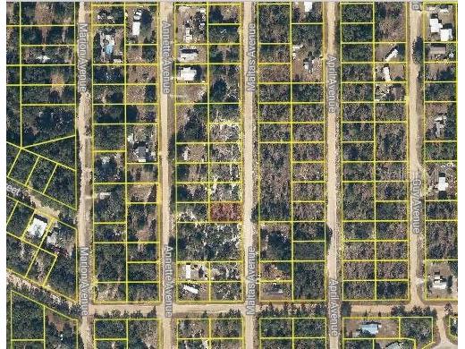 Maltas Avenue Interlachen FL 32148 O6321768 image2