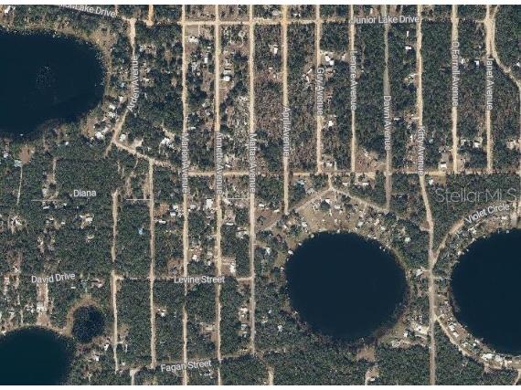 Maltas Avenue Interlachen FL 32148 P4934071 image2