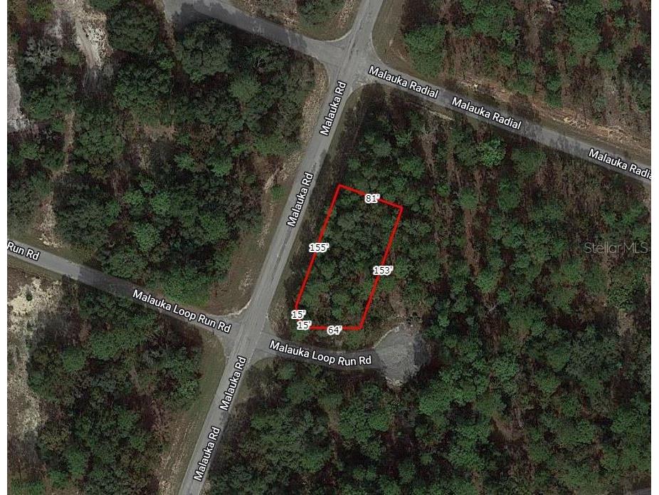 Maluka Loop Run Road Ocklawaha FL 32179 A4612066 image1