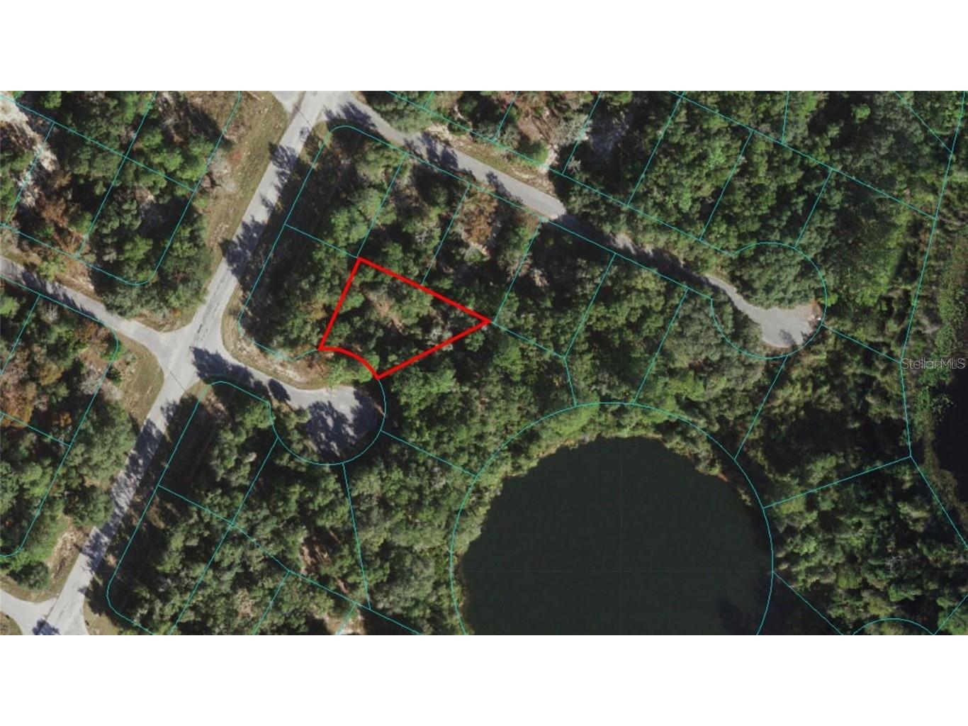 Maluka Radial Place Ocklawaha FL 32179 OM666691 image1