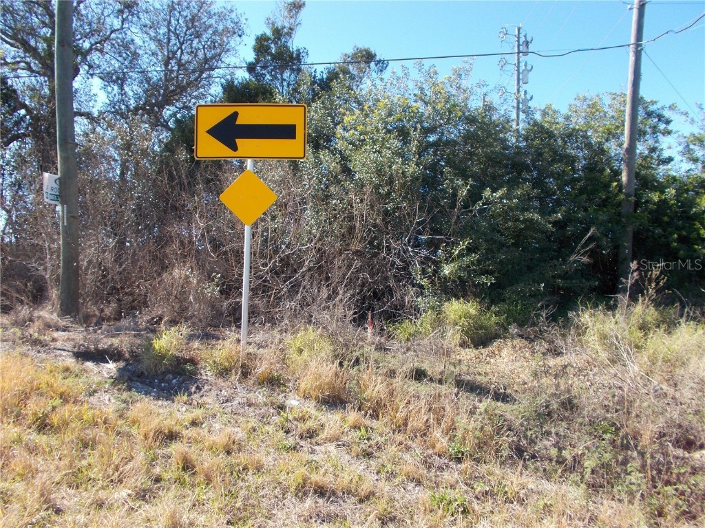 Mammoth Grove Road Lake Wales FL 33898 P4922482 image1