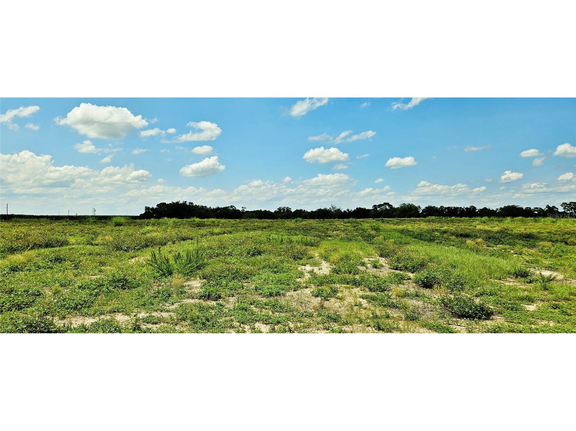 Mammoth Grove Road Lake Wales FL 33898 L4957735 image2