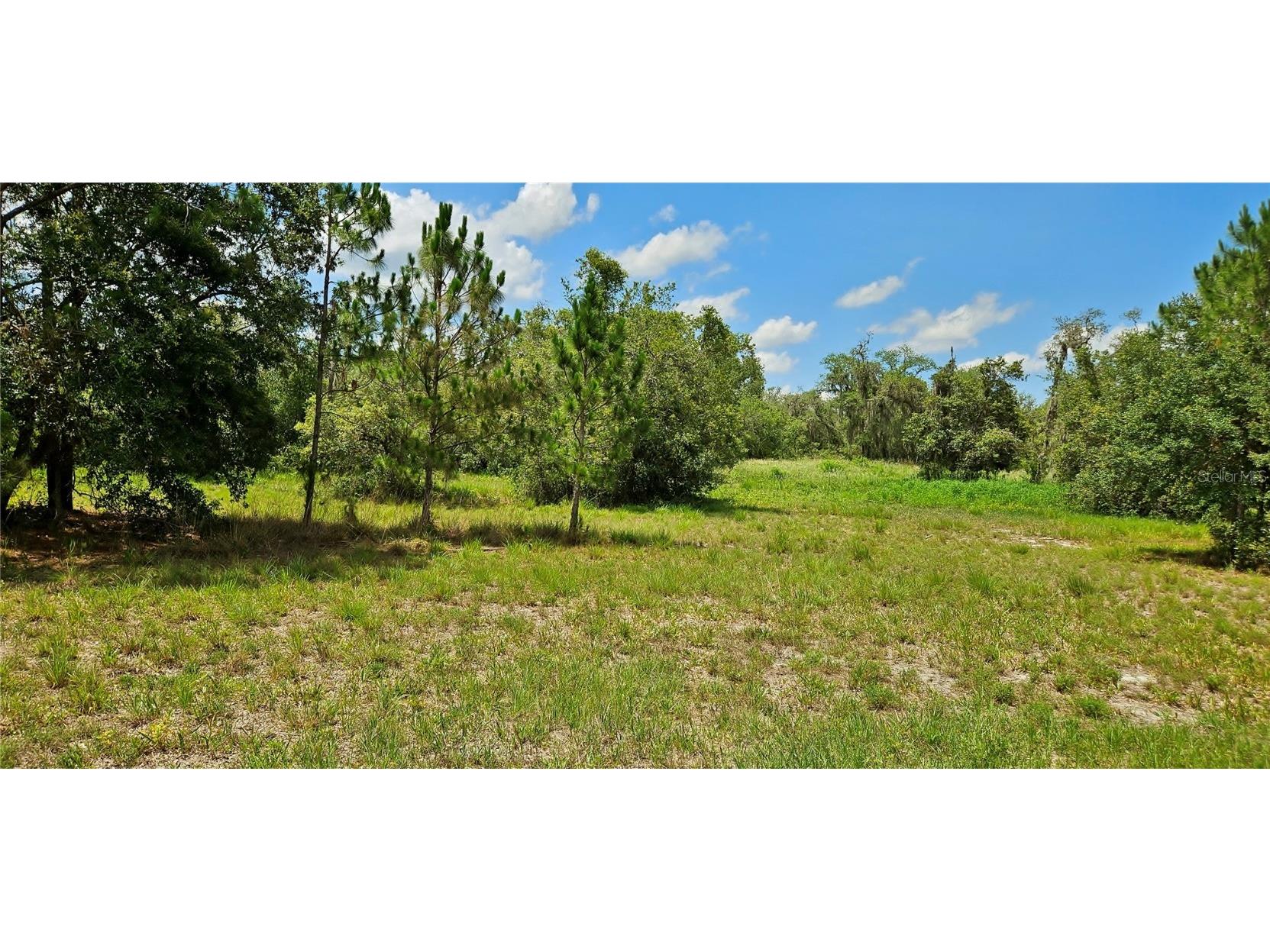 Mammoth Grove Road Lake Wales FL 33898 P4935027 image2