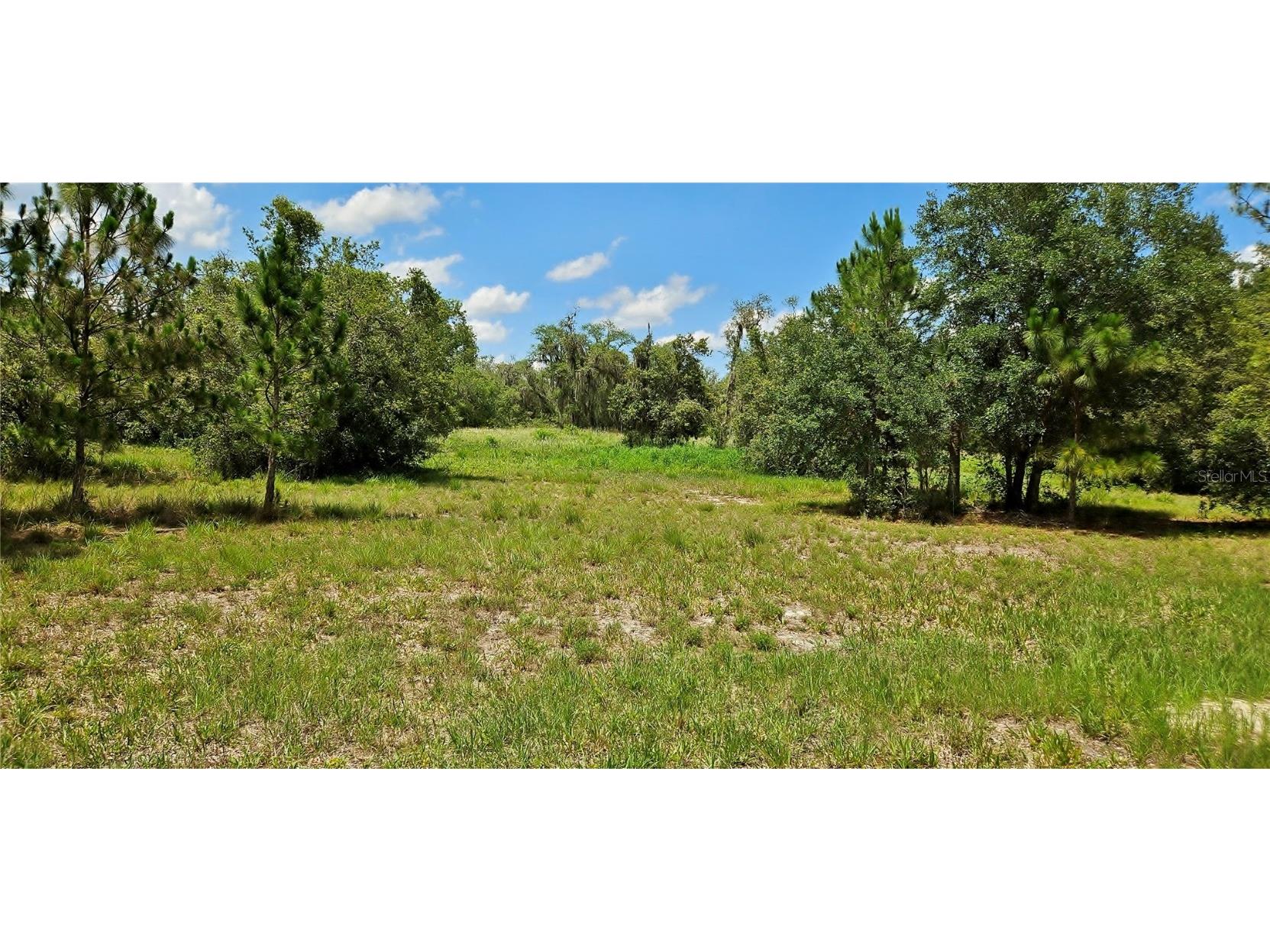 Mammoth Grove Road Lake Wales FL 33898 P4935027 image3