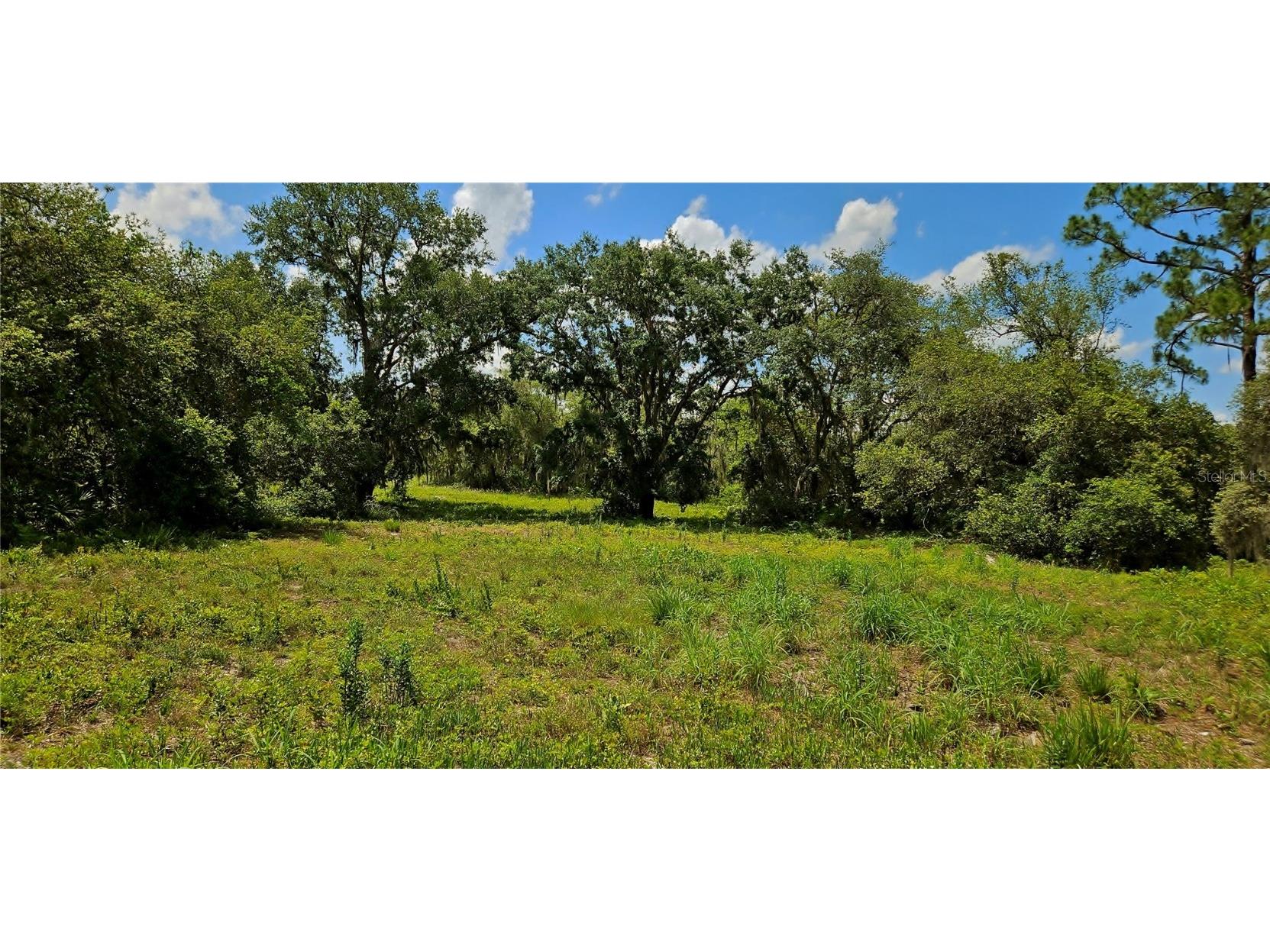 Mammoth Grove Road Lake Wales FL 33898 P4935027 image4