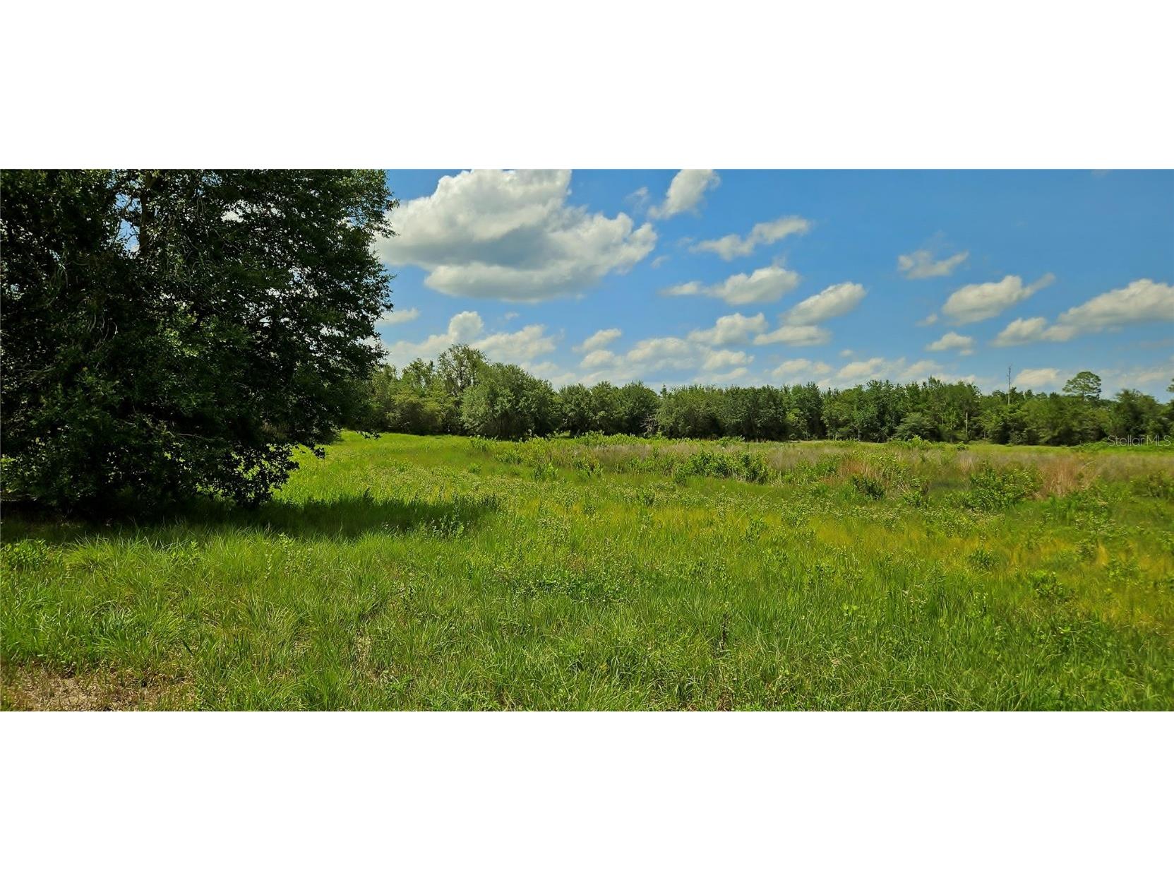 Mammoth Grove Road Lake Wales FL 33898 P4935027 image5