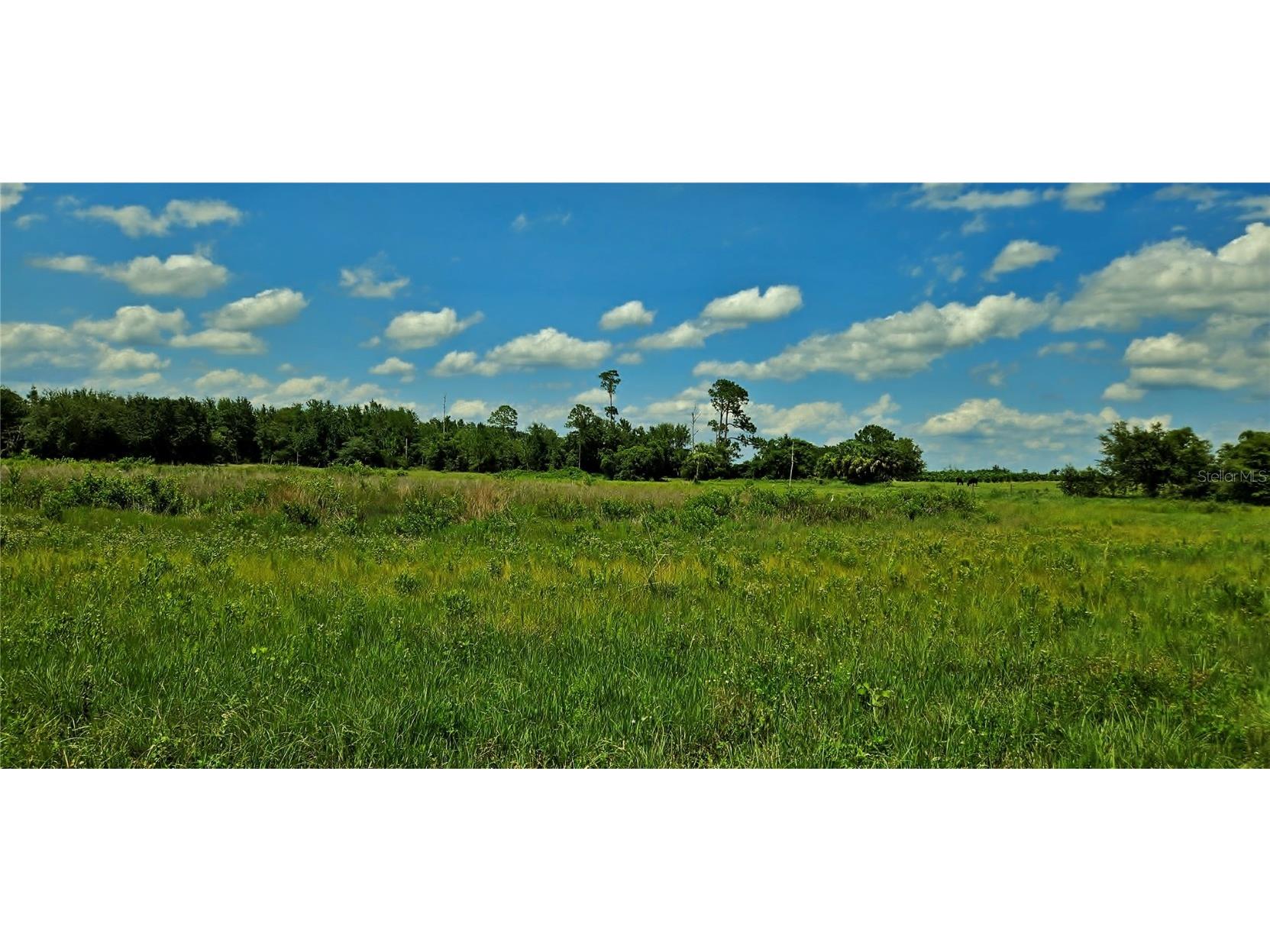 Mammoth Grove Road Lake Wales FL 33898 P4935027 image6