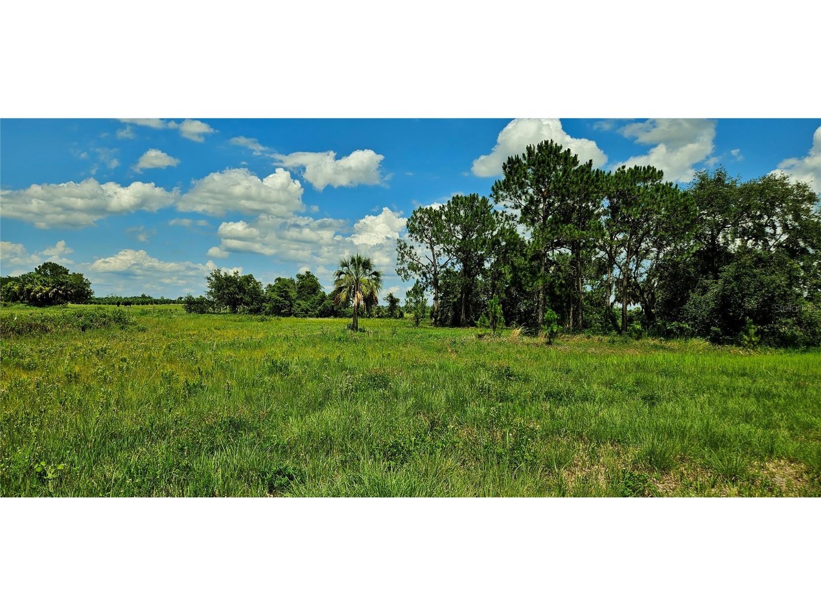 Mammoth Grove Road Lake Wales FL 33898 P4935027 image7