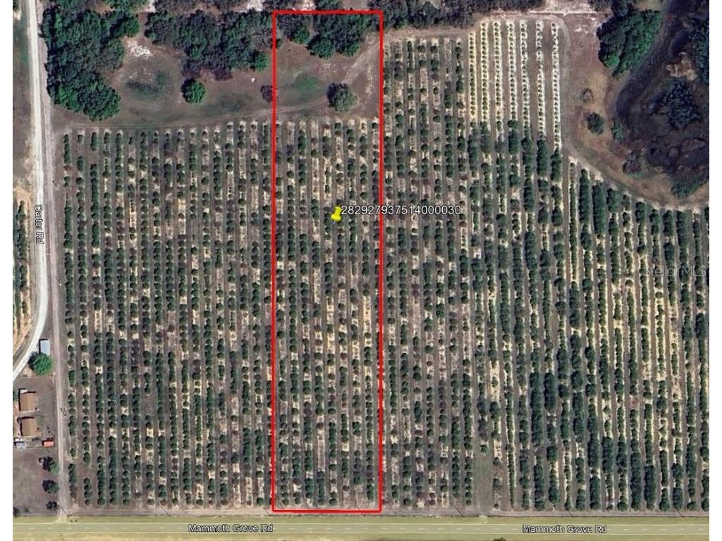 Mammoth Grove Road Lake Wales FL 33898 P4935047 image1