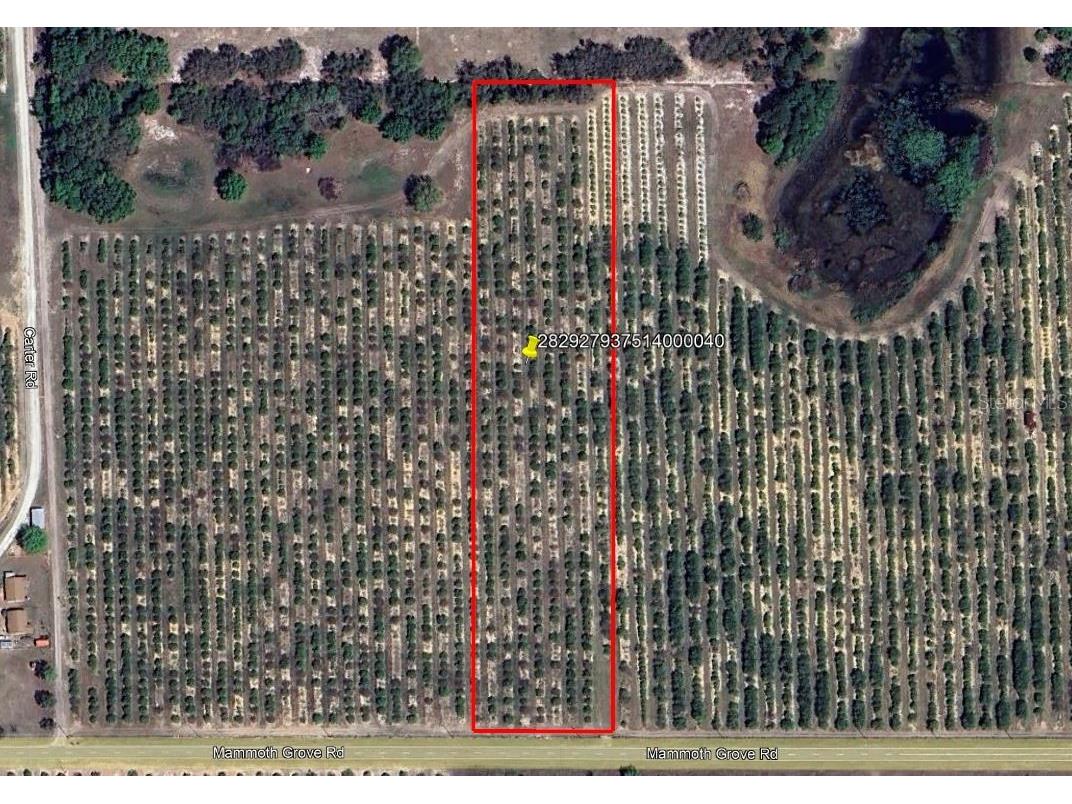 Mammoth Grove Road Lake Wales FL 33898 P4935048 image1
