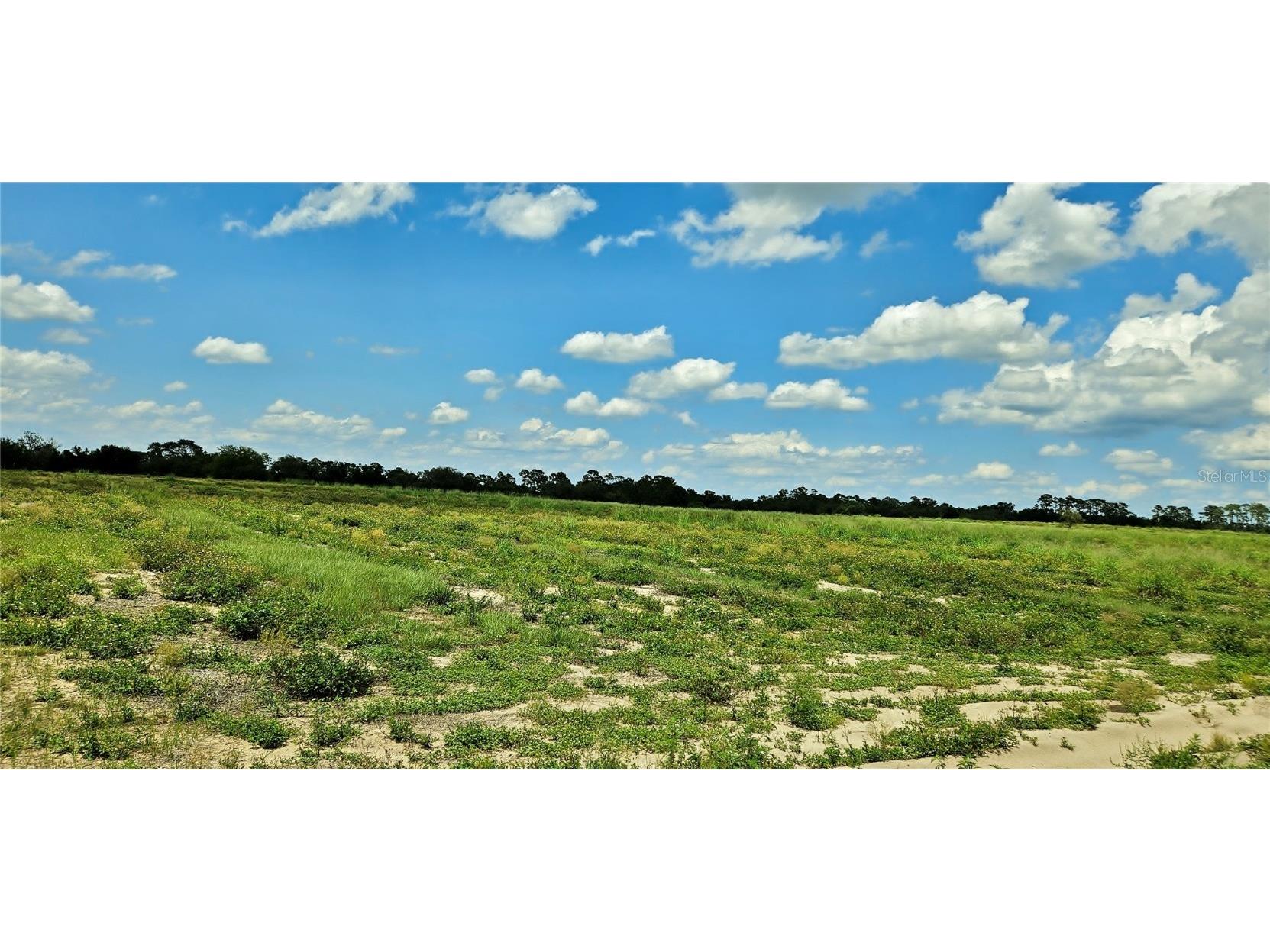 Mammoth Grove Road Lake Wales FL 33898 P4935048 image4