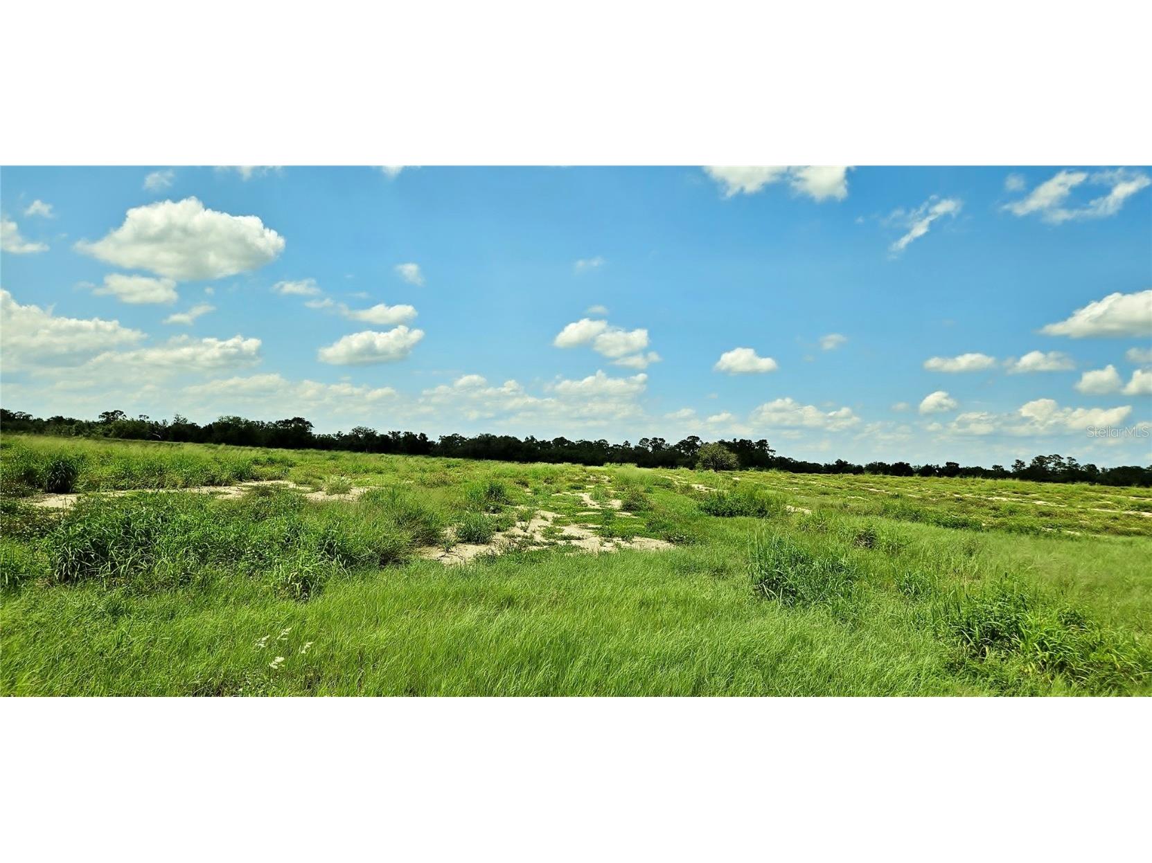 Mammoth Grove Road Lake Wales FL 33898 P4935048 image5