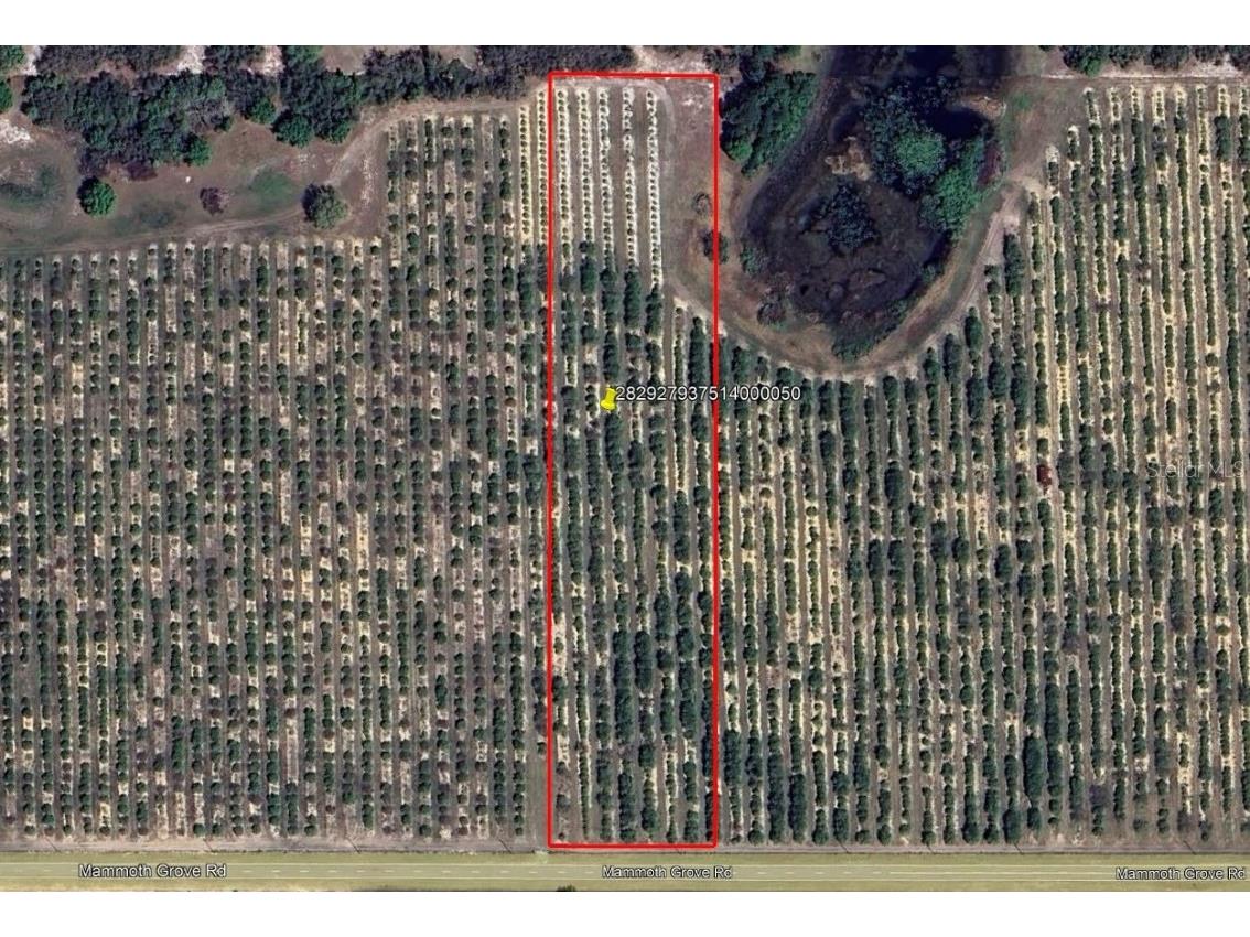 Mammoth Grove Road Lake Wales FL 33898 P4935054 image1