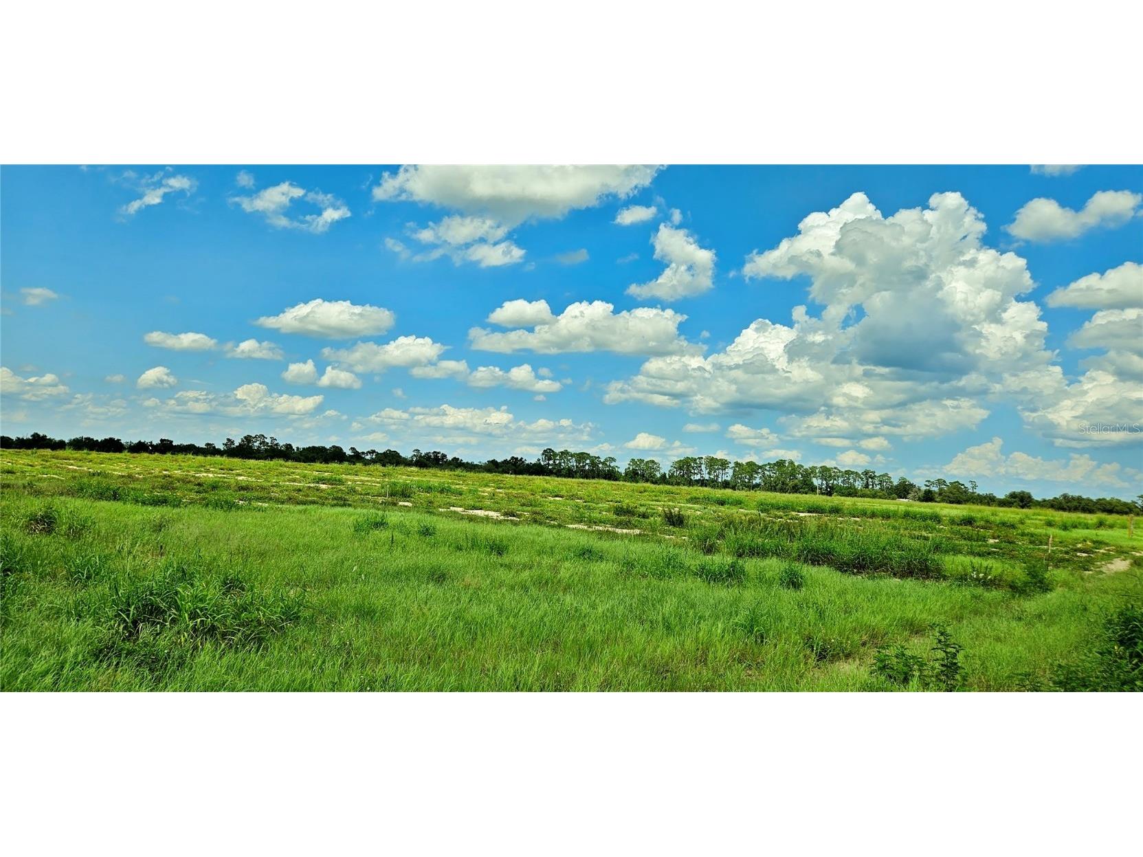 Mammoth Grove Road Lake Wales FL 33898 P4935054 image7