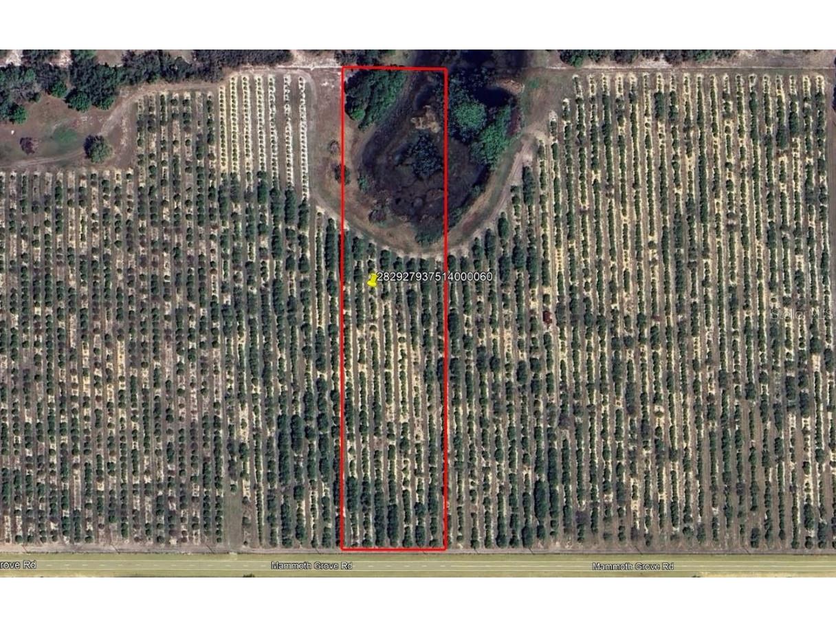 Mammoth Grove Road Lake Wales FL 33898 P4935055 image1