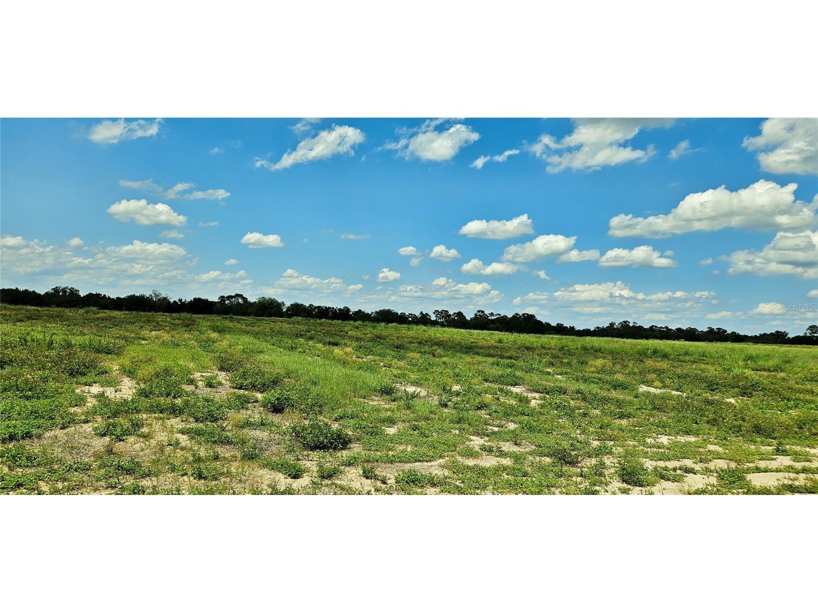 Mammoth Grove Road Lake Wales FL 33898 P4935055 image3