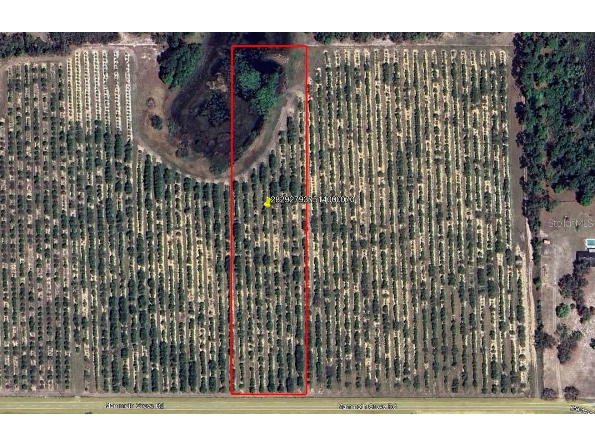 Mammoth Grove Road Lake Wales FL 33898 P4935057 image1