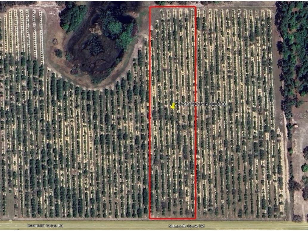 Mammoth Grove Road Lake Wales FL 33898 P4935058 image1