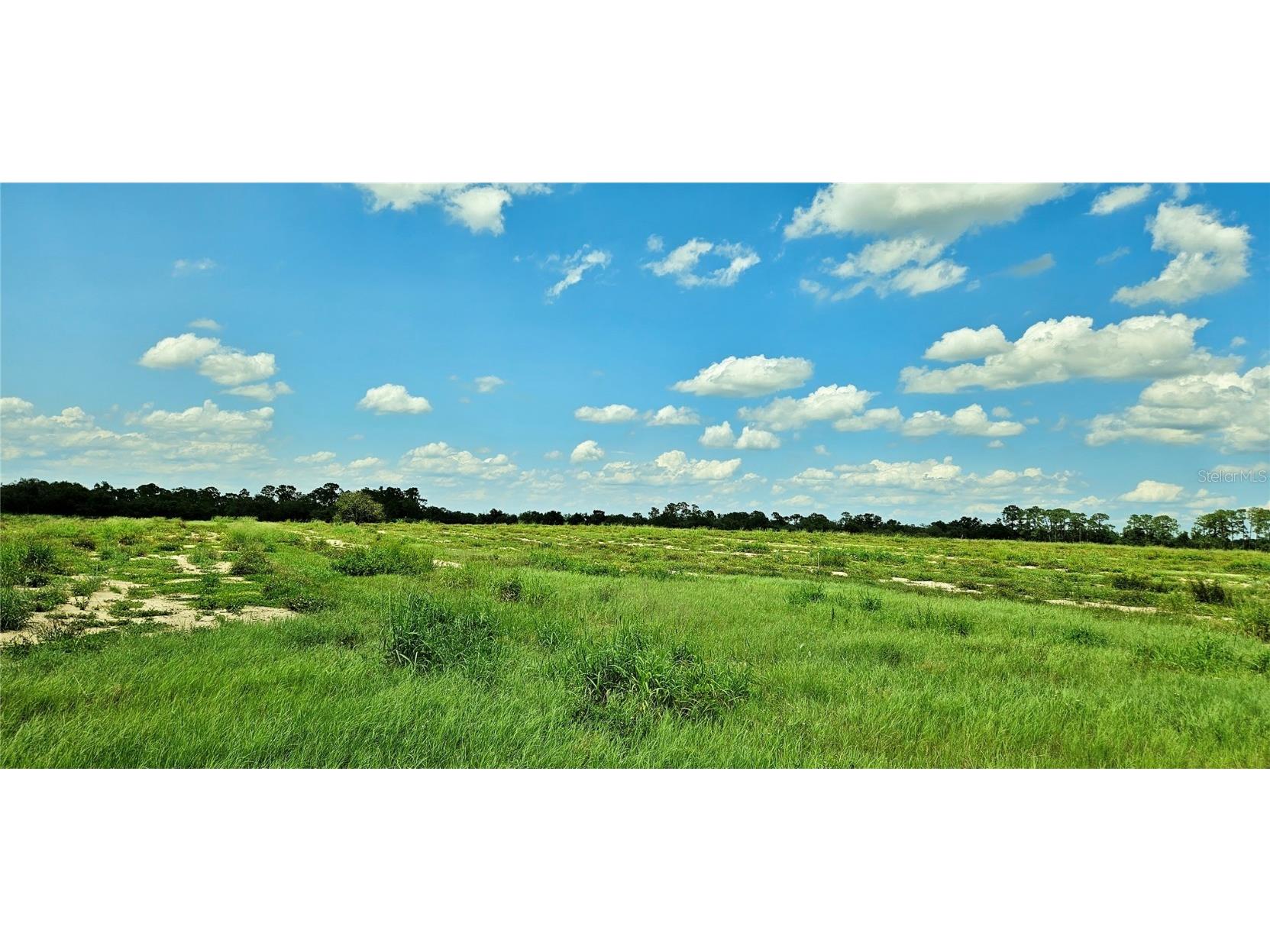 Mammoth Grove Road Lake Wales FL 33898 P4935058 image6