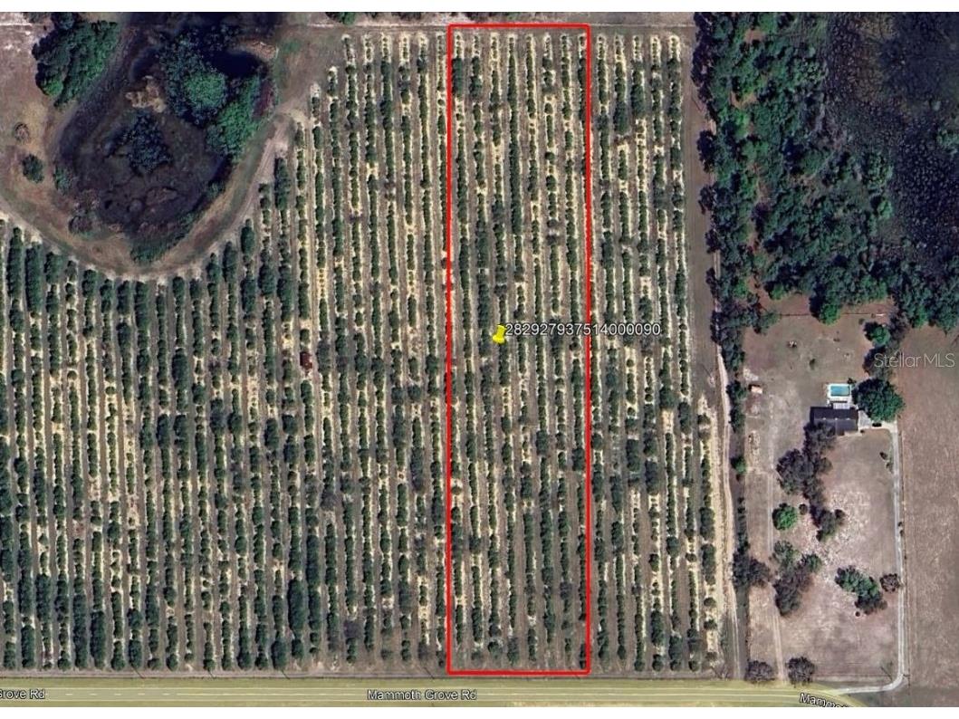 Mammoth Grove Road Lake Wales FL 33898 P4935059 image1