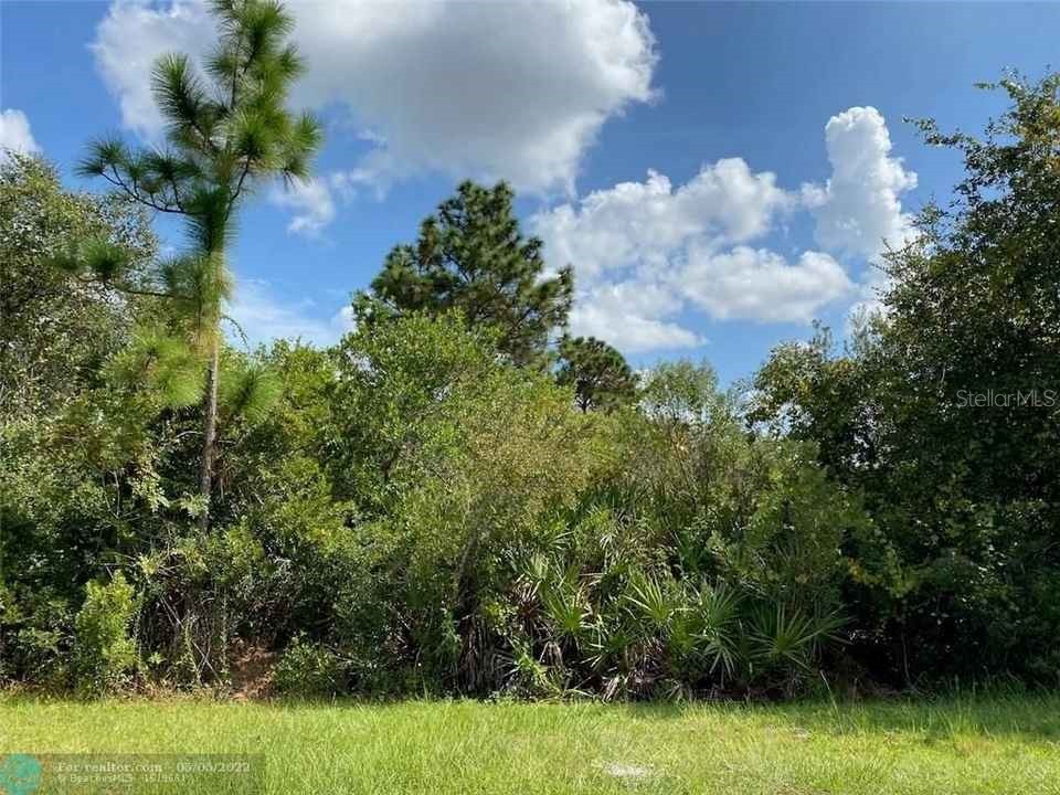 Manatee Way Kissimmee FL 34759 TB8339918 image3