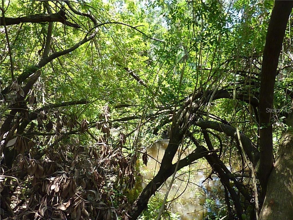 Manati Avenue North Port FL 34287 TB8317842 image5