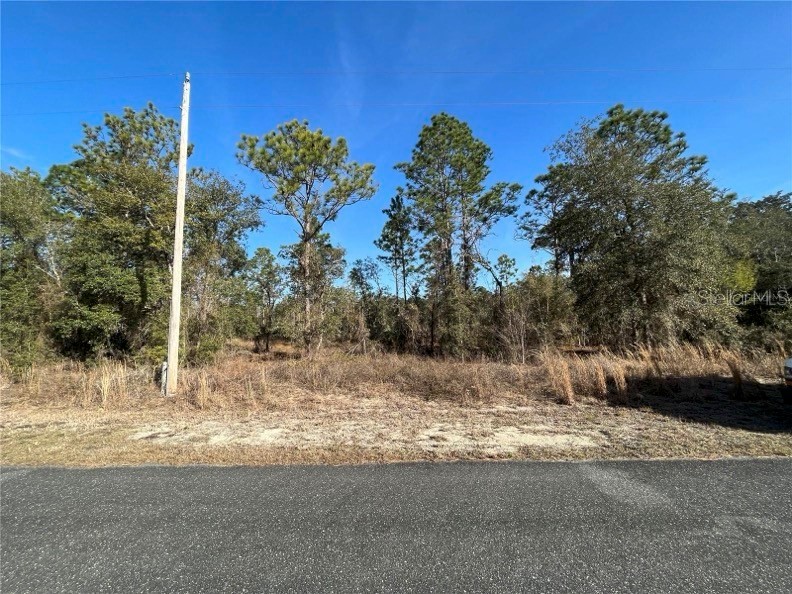Mango Lane Dunnellon FL 34431 T3484042 image1