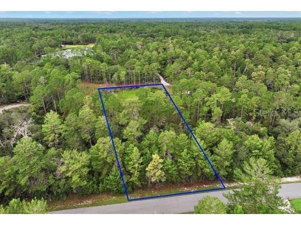 Mango Street Eustis FL 32736 U8201216 image1