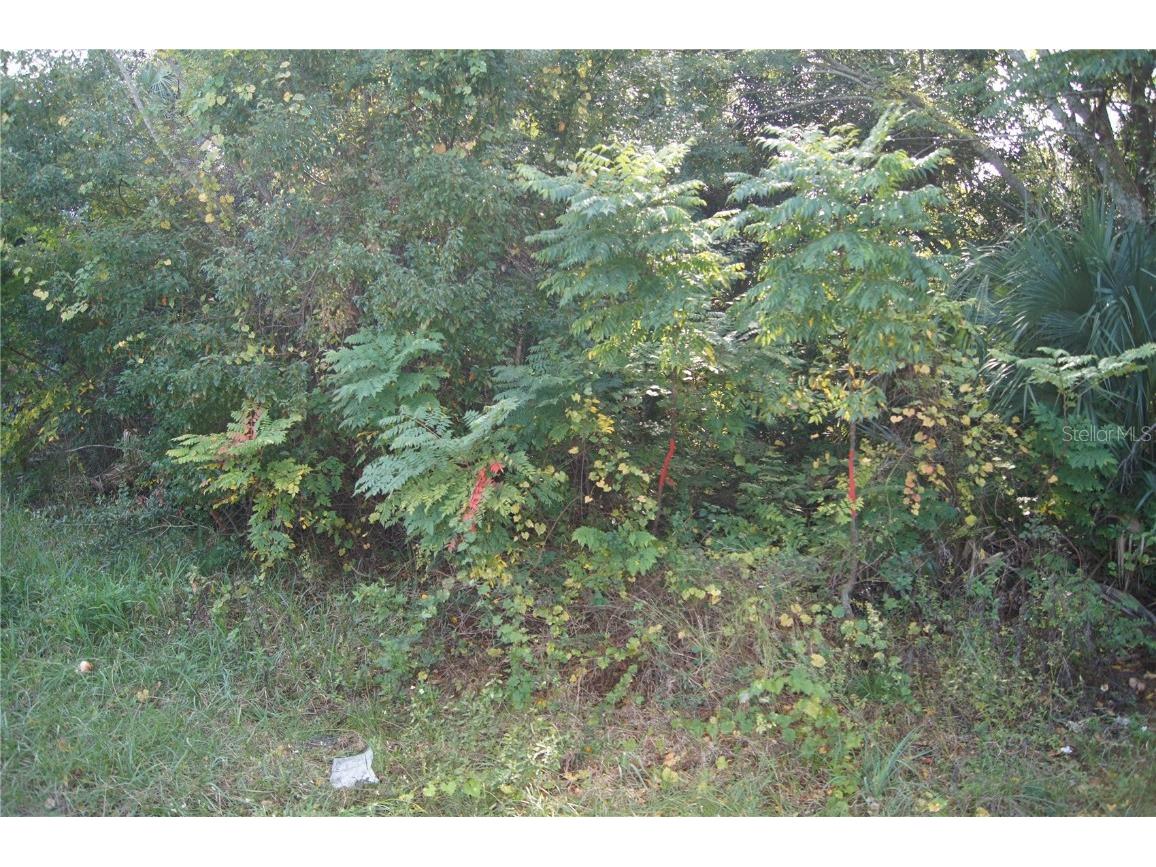 Mango Street New Port Richey FL 34654 A4592268 image1