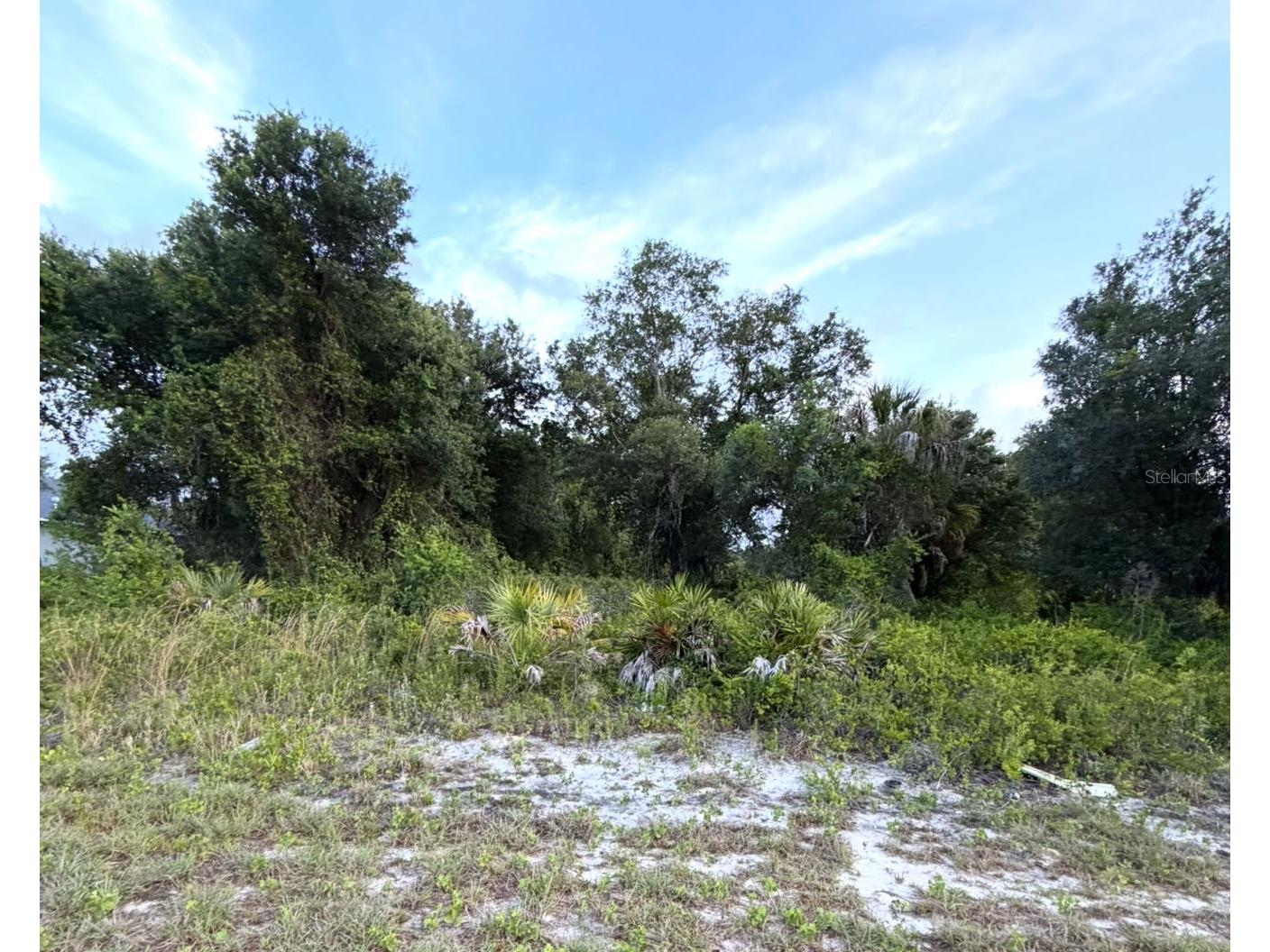Mangrove Avenue North Port FL 34288 A4693306 image1