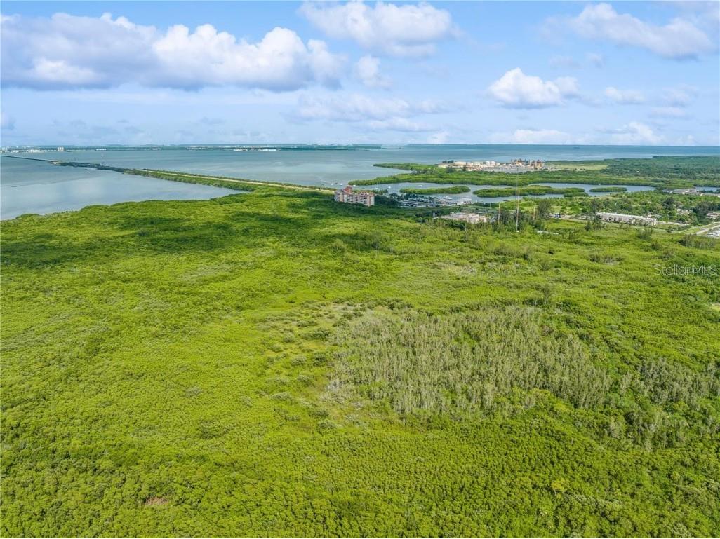 Mangrove Cay Lane NE Saint Petersburg FL 33716 U8251169 image1