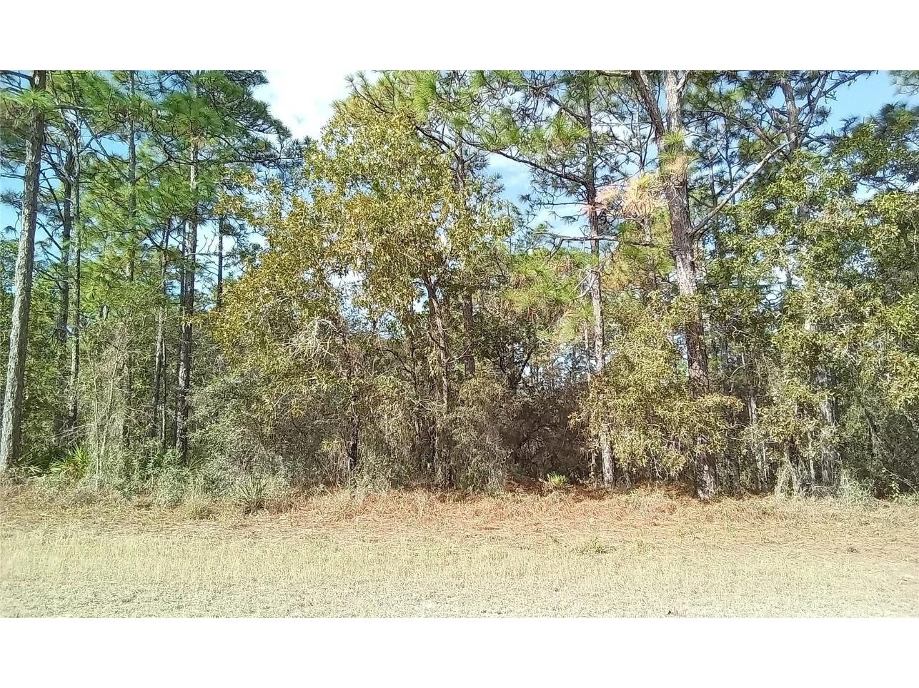 Manor Road Weeki Wachee FL 34614 OM673686 image1