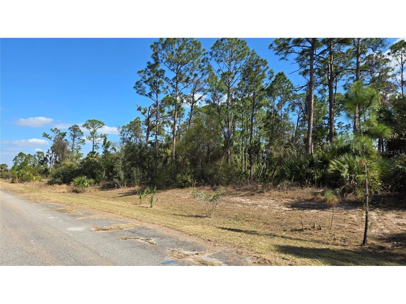 Mansfield Circle North Port FL 34288 A4639803 image1