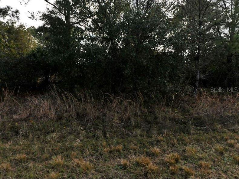 Mansfield Circle North Port FL 34288 O6189057 image2