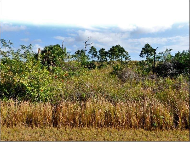 Mansfield Circle North Port FL 34288 O6189740 image2