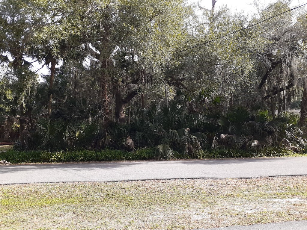 Mansion Boulevard Debary FL 32713 V4922822 image1