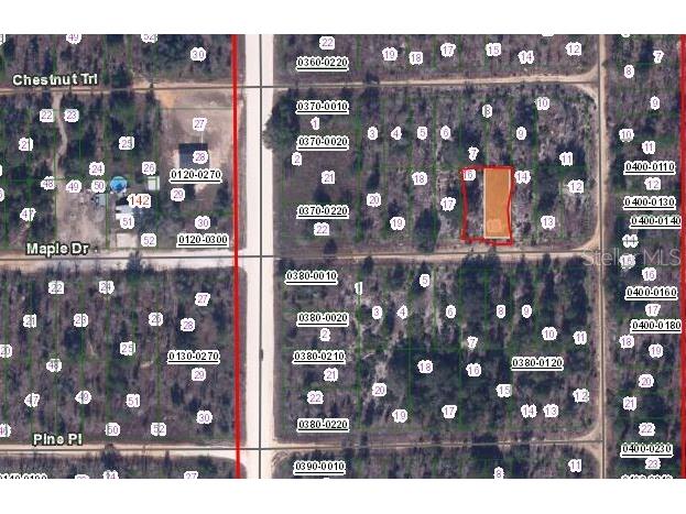 00 Maple Drive Interlachen FL 32148 OM650619 image2