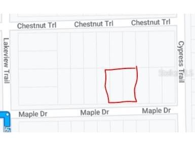 00 Maple Drive Interlachen FL 32148 OM650619 image3