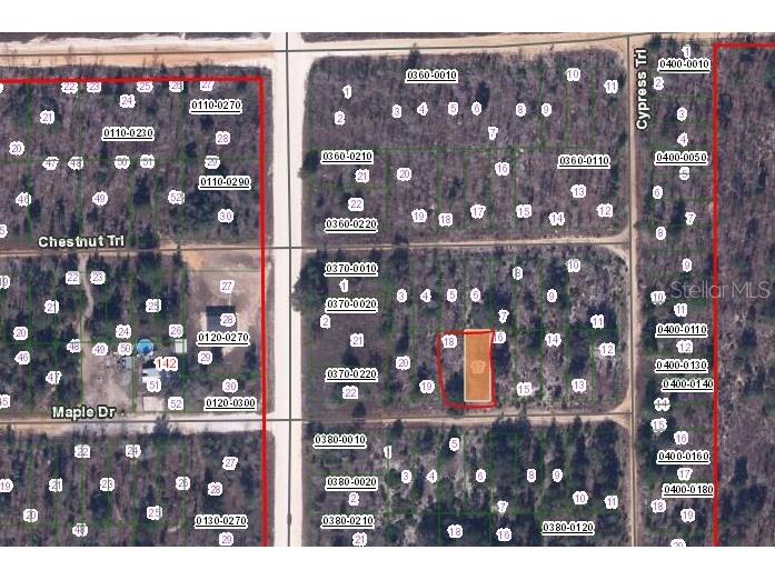 00 Maple Drive Interlachen FL 32148 OM650620 image2