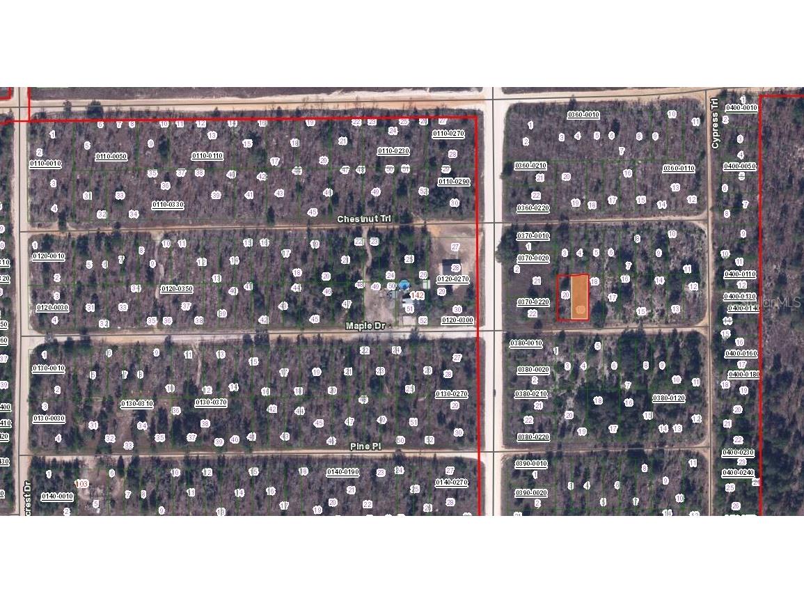 00 Maple Drive Interlachen FL 32148 OM650628 image2