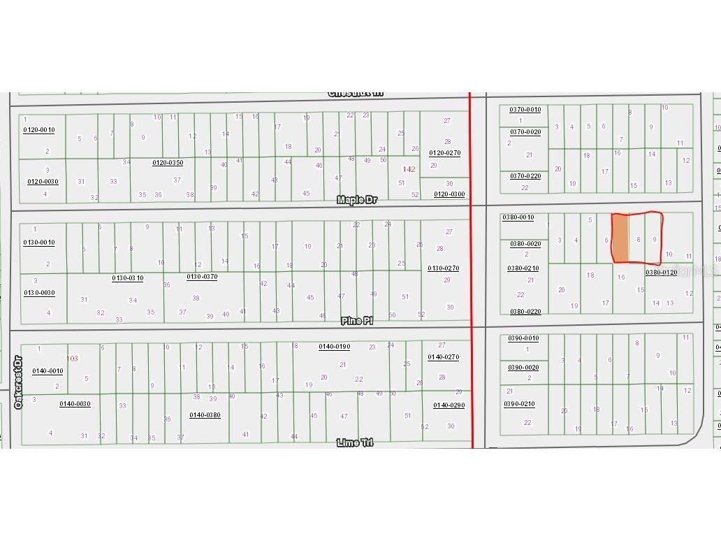 Maple Drive Interlachen FL 32148 OM651524 image1