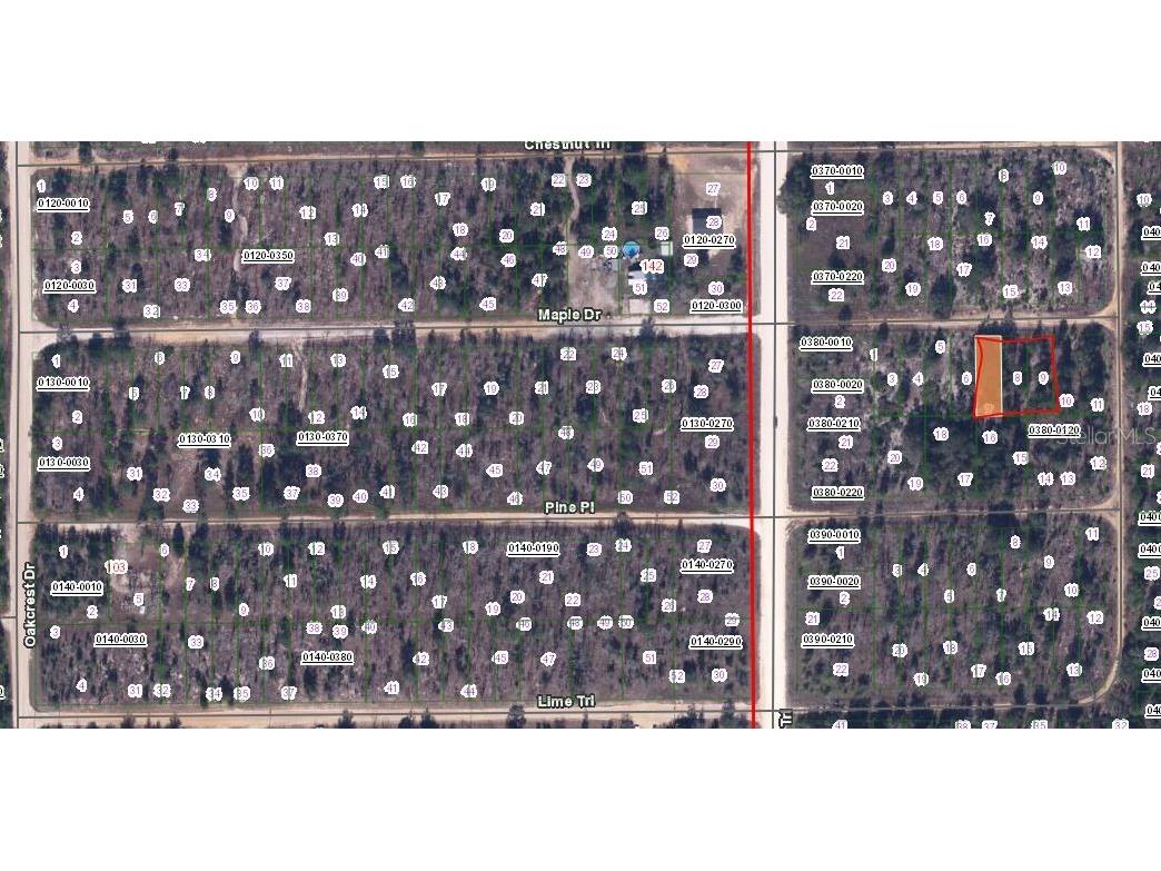 Maple Drive Interlachen FL 32148 OM651524 image2