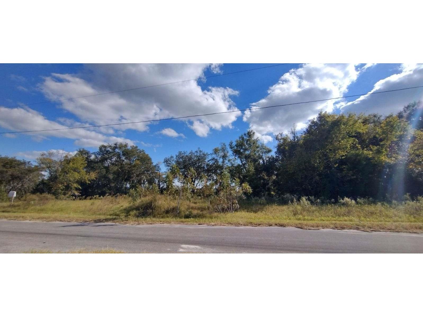 Maple Lane Ocklawaha FL 32179 OM667766 image1