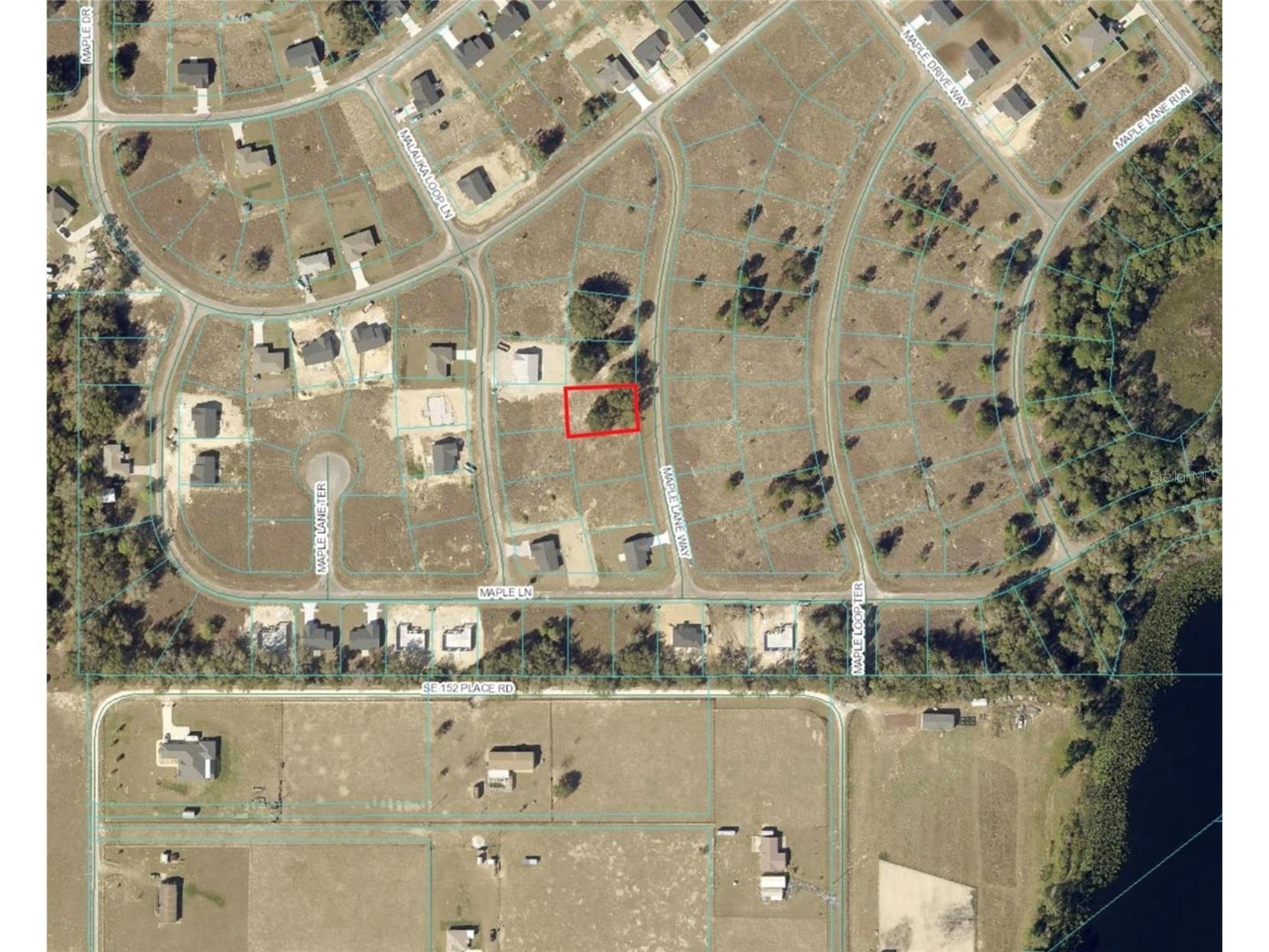 Maple Lane Way Ocklawaha FL 32179 OM719080 image1