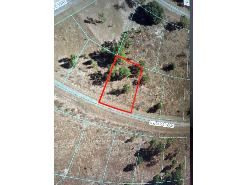 Maple Loop Ter Ocklawaha FL 32179 OM677913 image1