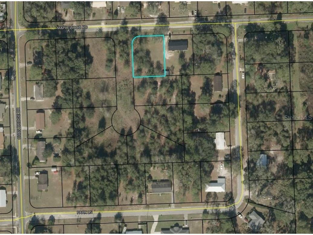 Maple Wood Road Jasper FL 32052 T3449527 image1