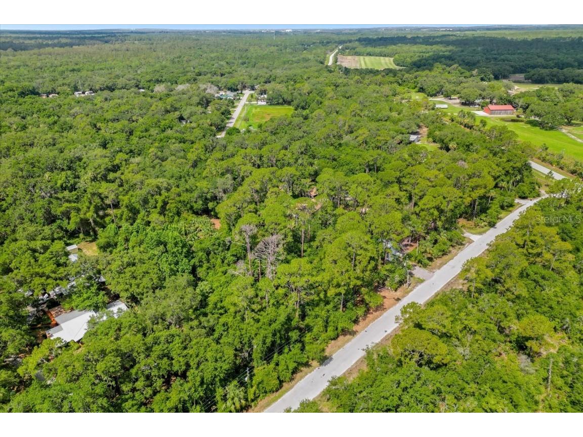 Mar Lisa Cove Road Lake Wales FL 33898 T3452817 image11